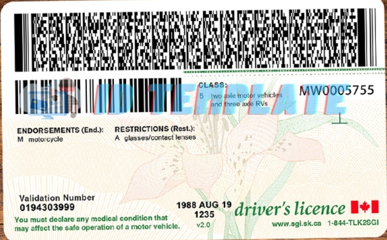 Screenshot_20250708_135913_Gallery